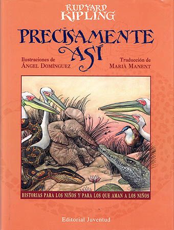 PRECISAMENTE ASI (4ª ED), de Angel Dominguez | portada del libro