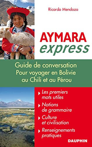 AYMARA EXPRESS, de RICARDO MENDOZA QUISBERT | portada del libro