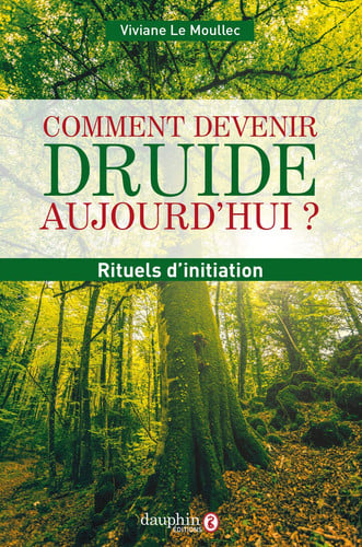 COMMENT DEVENIR DRUIDE AUJOURD HUI, de LE MOULLEC VIVI | portada del libro