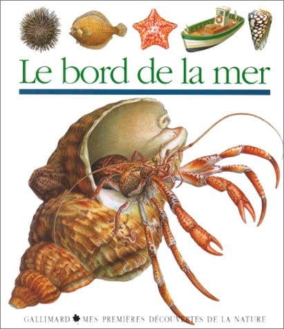 LE BORD DE LA MER, de Pierre de Hugo | portada del libro