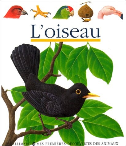 L'OISEAU, de René Mettler | portada del libro