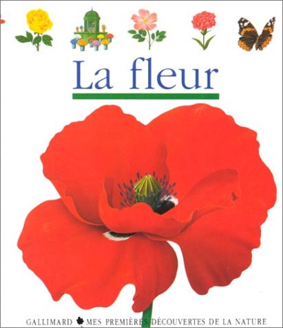 LA FLEUR, de René Mettler | portada del libro