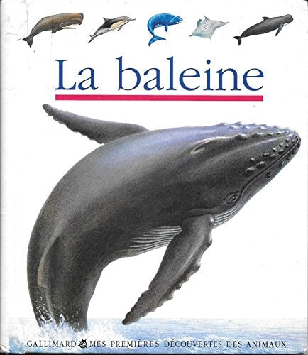 LA BALEINE, de Claude Delafosse | portada del libro