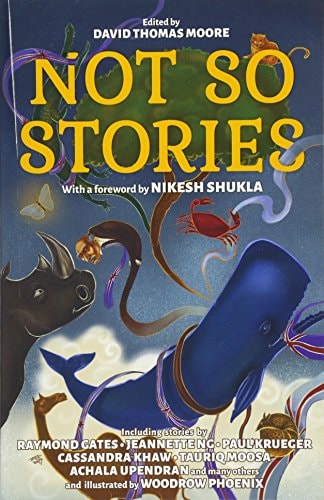 NOT SO STORIES, de Adiwijaya Iskandar | portada del libro