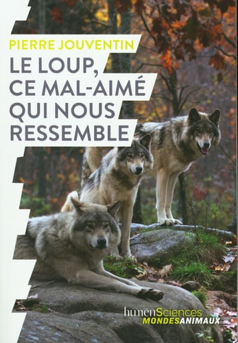 E LOUP, CE MAL-AIME QUI NOUS RESSEMBLE, de Pierre Jouventin | portada del libro