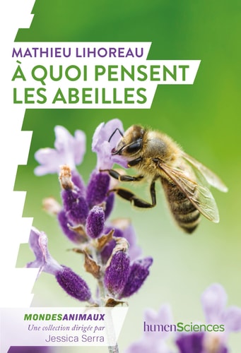 QUOI PENSENT LES ABEILLES ?, de Mathieu Lihoreau | portada del libro
