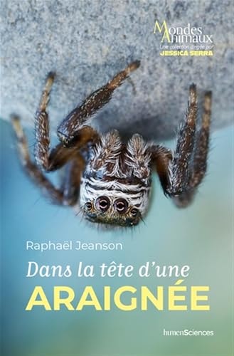 ANS LA TETE D'UNE ARAIGNEE, de Raphaël Jeanson | portada del libro