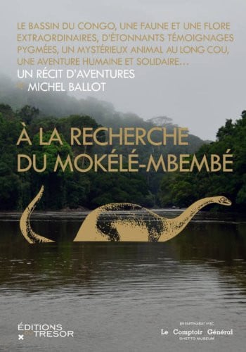 A LA RECHERCHE DU MOKELE-MBEMBE, de BALLOT MICHEL | portada del libro