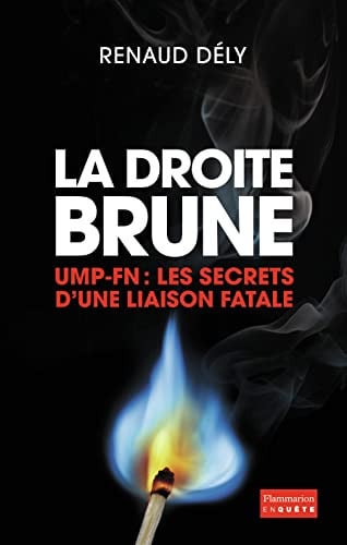 ROITE BRUNE, de DELY RENAUD | portada del libro
