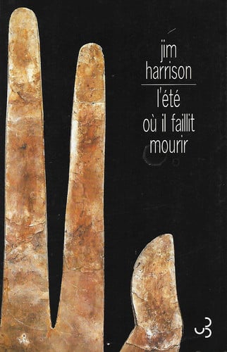 L'ETE OU IL FAILLIT MOURIR, de HARRISON JIM | portada del libro