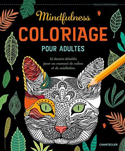 COLORIAGE POUR ADULTES MINDFULNESS, de COLLECTIF | portada del libro