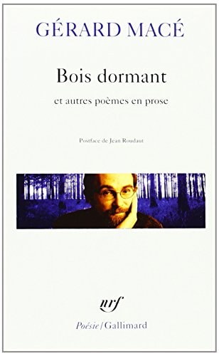 BOIS DORMANT ET AUTRES POEMES EN PROSE, de Gérard Macé | portada del libro