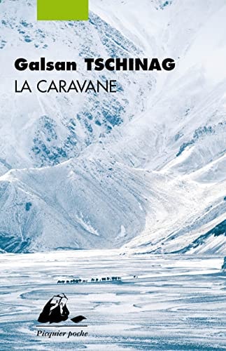 QUESTIONS A MON PERE, de Eric Fottorino | portada del libro