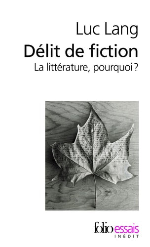 DELIT DE FICTION, de Luc Lang | portada del libro