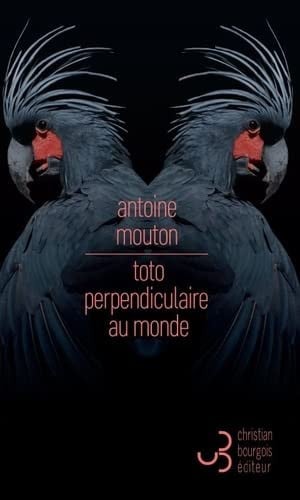 TOTO PERPENDICULAIRE AU MONDE, de MOUTON A | portada del libro
