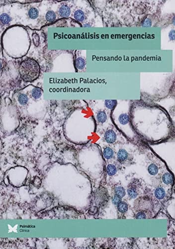 PSICOANALISIS EN EMERGENCIAS, de ELIZABETH PALACIOS (COORD) | portada del libro