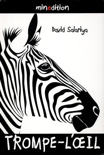 TROMPE L OEIL, de David Salariya | portada del libro