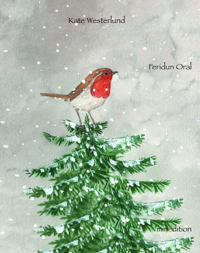 LE MESSAGE DES OISEAUX LE MINI, de Kate Westerlund | portada del libro