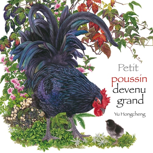 PETIT POUSSIN DEVENU GRAND, de Hongcheng Yu | portada del libro