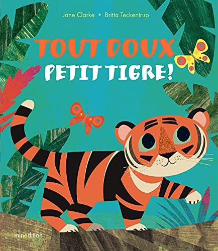 TOUT DOUX PETIT TIGRE, de Jane Clarke | portada del libro