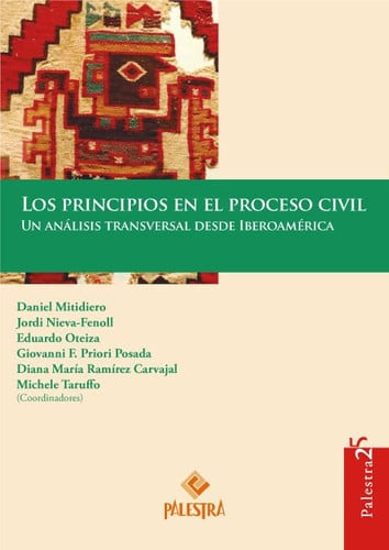 LOS PRINCIPIOS EN EL PROCESO CIVIL | portada del libro