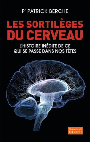 ES SORTILEGES DU CERVEAU, de BERCHE PATRICK | portada del libro