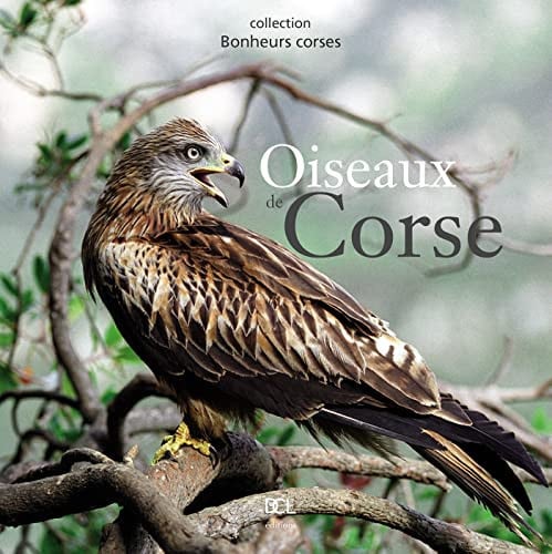 OISEAUX DE CORSE, de CART S | portada del libro
