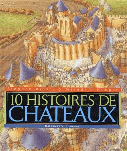 10 HISTOIRES DE CHATEAUX, de Biesty | portada del libro