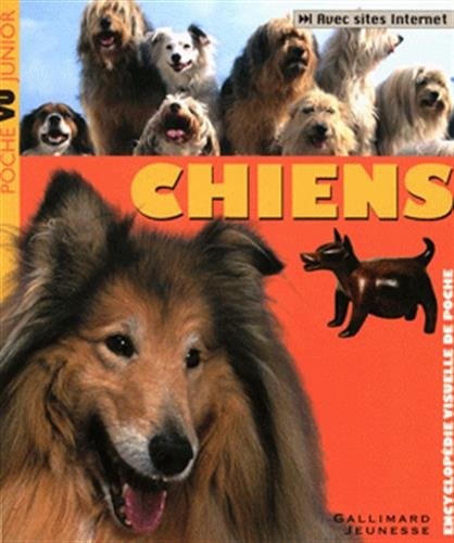 CHIENS, de David Taylor | portada del libro