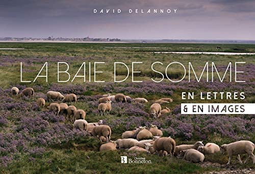 LA BAIE DE SOMME EN LETTRES & EN IMAGES, de DELANNOY DAVID | portada del libro