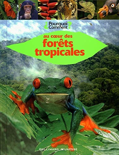 AU COEUR DES FORETS TROPICALES, de Collectif | portada del libro
