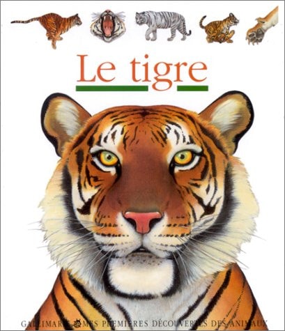 LE TIGRE, de Sylvaine Peyrols | portada del libro