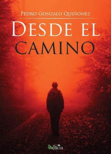 DESDE EL CAMINO, de PEDRO GONZALO QUIÑONEZ | portada del libro