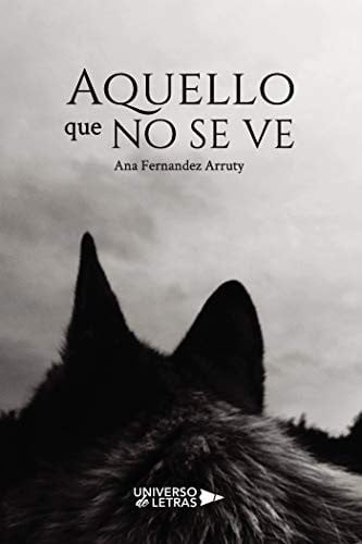 Aquello que no se ve, de Ana Fernandez Arruty | portada del libro