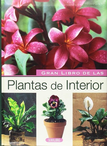 PLANTAS DE INTERIOR | portada del libro