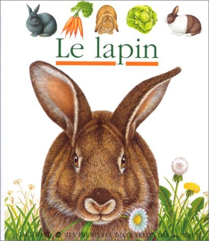 LE LAPIN, de Pierre de Hugo | portada del libro
