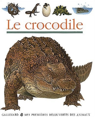 LE CROCODILE, de Sylvaine Pérols | portada del libro