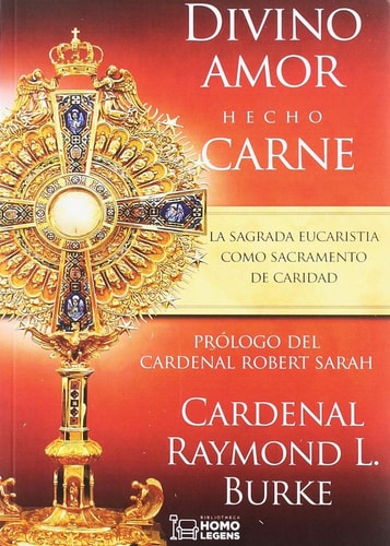 DIVINO AMOR HECHO CARNE, de BURKE | portada del libro