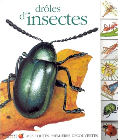 DROLES D'INSECTES, de COLLECTIFS JEUNESSE | portada del libro