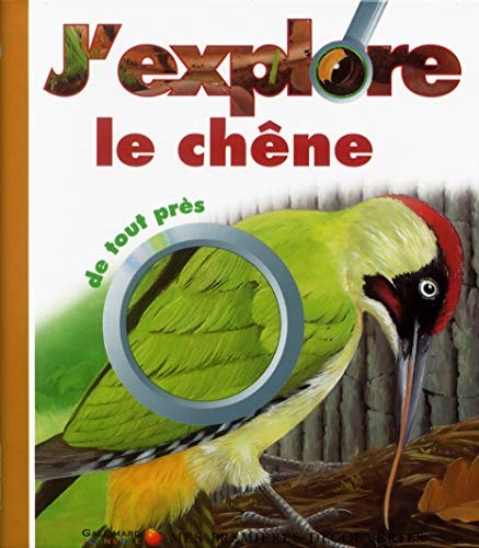 J'EXPLORE LE CHENE, de Caroline Allaire | portada del libro