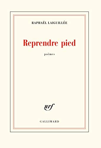 REPRENDRE PIED, de Raphaël Laiguillée | portada del libro