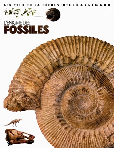 L'ENIGME DES FOSSILES, de Paul Taylor | portada del libro