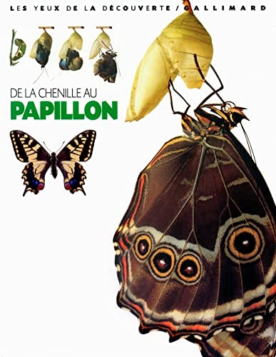 DE LA CHENILLE AU PAPILLON, de Paul Whalley | portada del libro