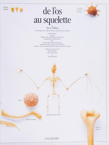 DE L'OS AU SQUELETTE, de Steve Parker | portada del libro