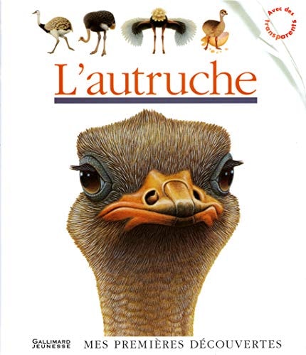 L'AUTRUCHE, de Pierre de Hugo | portada del libro