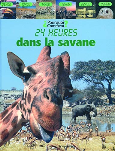 24 heures dans la savane, de Zahavit Shalev | portada del libro