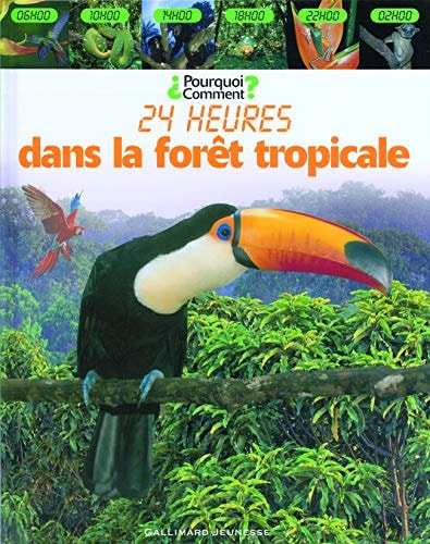 DANS LA FORET TROPICALE, de Fleur Star | portada del libro