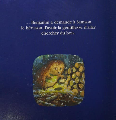 LA FETE DE BENJAMIN LE LUTIN, de KRINGS | portada del libro