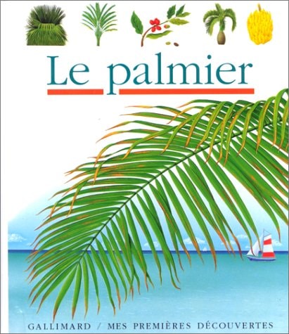 LE PALMIER, de René Mettler | portada del libro