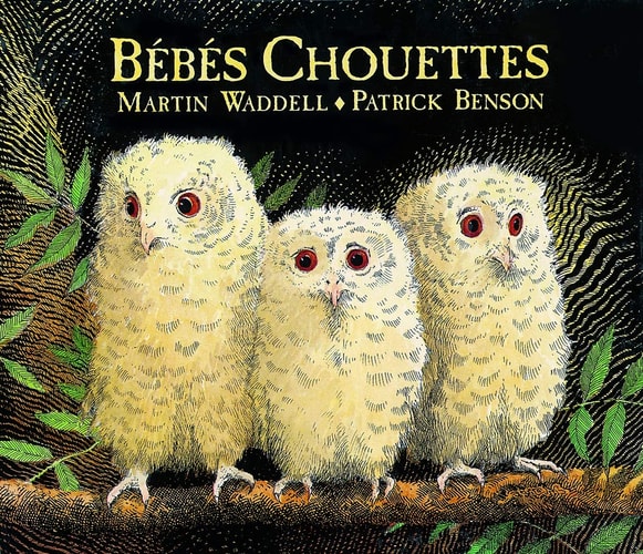 EBES CHOUETTES, de Martin Waddell | portada del libro